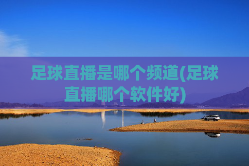 足球直播是哪个频道(足球直播哪个软件好)