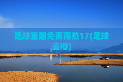 足球直播免费雨燕17(足球直播)