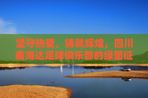坚守热爱,铸就辉煌,四川鑫海达足球俱乐部的绿茵征途