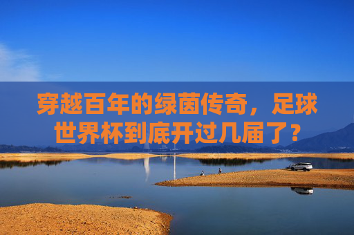 穿越百年的绿茵传奇，足球世界杯到底开过几届了？