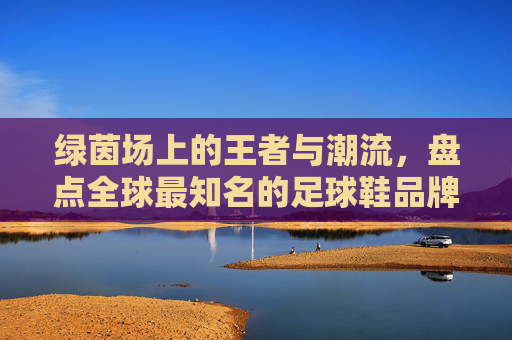 绿茵场上的王者与潮流,盘点全球最知名的足球鞋品牌