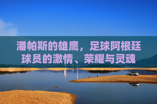 潘帕斯的雄鹰,足球阿根廷球员的激情、荣耀与灵魂