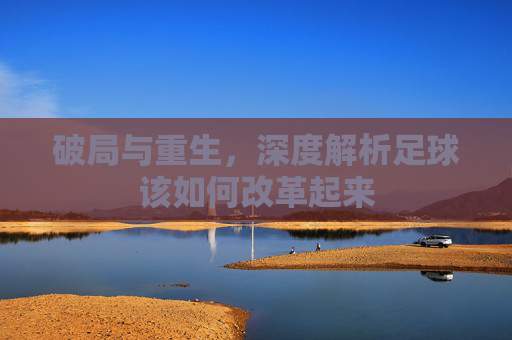 破局与重生,深度解析足球该如何改革起来