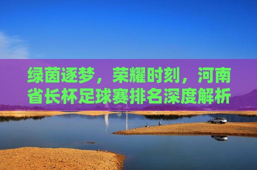 绿茵逐梦,荣耀时刻,河南省长杯足球赛排名深度解析