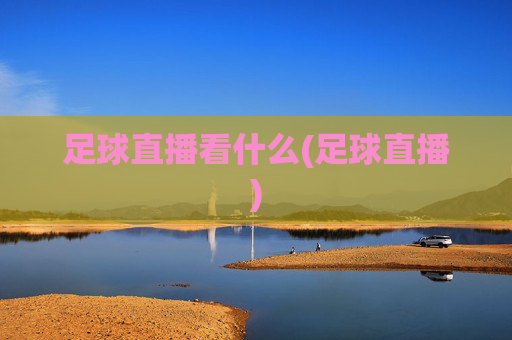 足球直播看什么(足球直播)