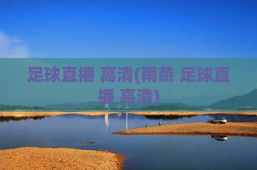 足球直播 高清(雨燕 足球直播 高清)