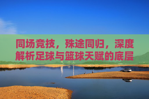 同场竞技,殊途同归,深度解析足球与篮球天赋的底层逻辑差异