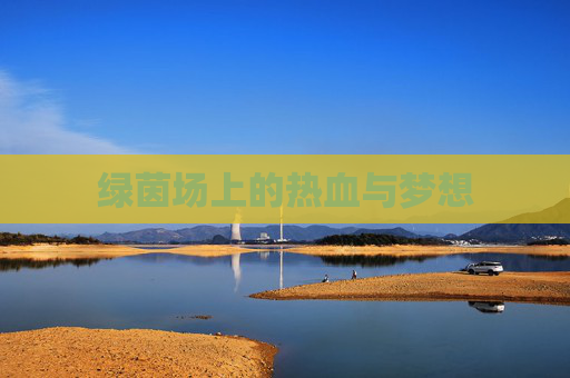 绿茵场上的热血与梦想