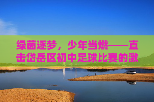 绿茵逐梦,少年当燃——直击岱岳区初中足球比赛的激情时刻