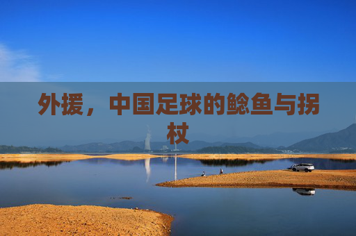 外援，中国足球的鲶鱼与拐杖