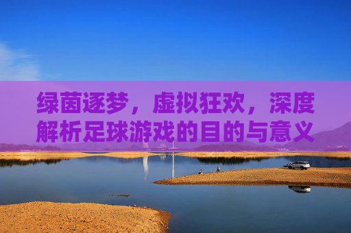 绿茵逐梦,虚拟狂欢,深度解析足球游戏的目的与意义