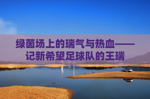 绿茵场上的瑞气与热血——记新希望足球队的王瑞