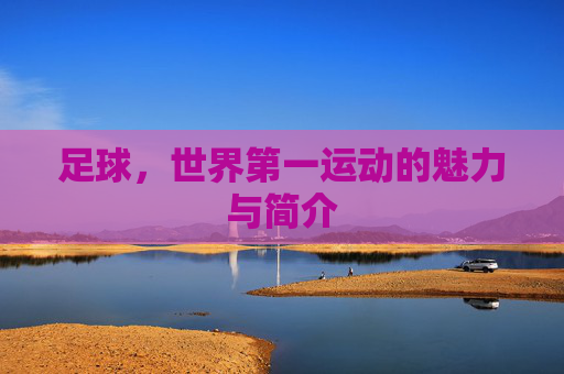 足球,世界第一运动的魅力与简介