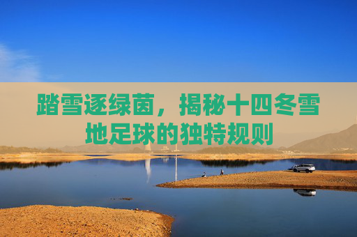 踏雪逐绿茵,揭秘十四冬雪地足球的独特规则