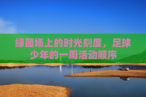 绿茵场上的时光刻度,足球少年的一周活动顺序