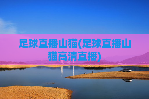 足球直播山猫(足球直播山猫高清直播)