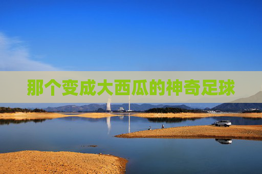 那个变成大西瓜的神奇足球