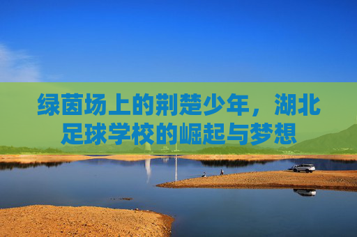 绿茵场上的荆楚少年,湖北足球学校的崛起与梦想