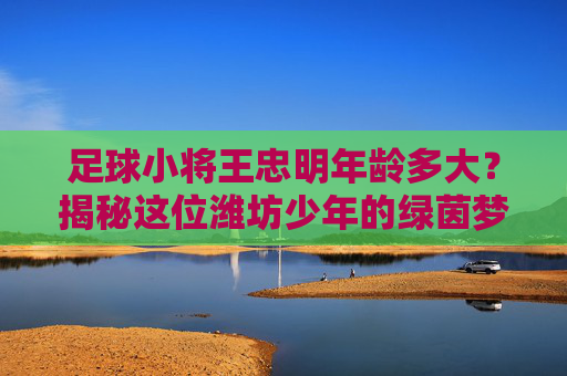 足球小将王忠明年龄多大?揭秘这位潍坊少年的绿茵梦想