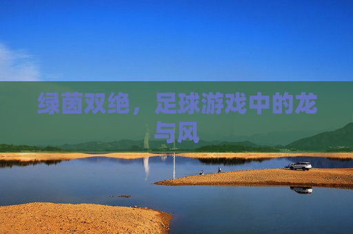 绿茵双绝,足球游戏中的龙与风