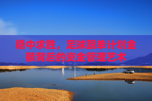 稳中求胜,足球跟单计划金额背后的资金管理艺术