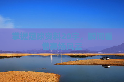 掌握足球资料20字，瞬间看懂赛场风云