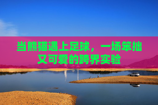 当熊猫遇上足球,一场笨拙又可爱的跨界实验