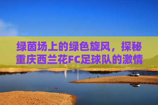 绿茵场上的绿色旋风,探秘重庆西兰花FC足球队的激情与快乐