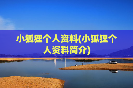小狐狸个人资料(小狐狸个人资料简介)