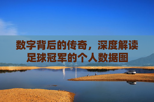 数字背后的传奇,深度解读足球冠军的个人数据图
