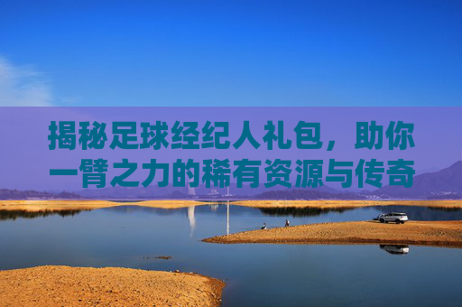 揭秘足球经纪人礼包,助你一臂之力的稀有资源与传奇球员大礼包