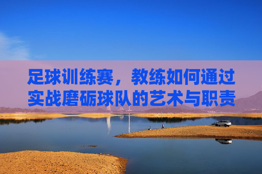 足球训练赛,教练如何通过实战磨砺球队的艺术与职责