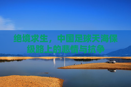 绝境求生,中国足球天海保级路上的悲情与抗争