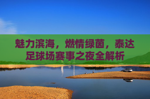 魅力滨海，燃情绿茵，泰达足球场赛事之夜全解析