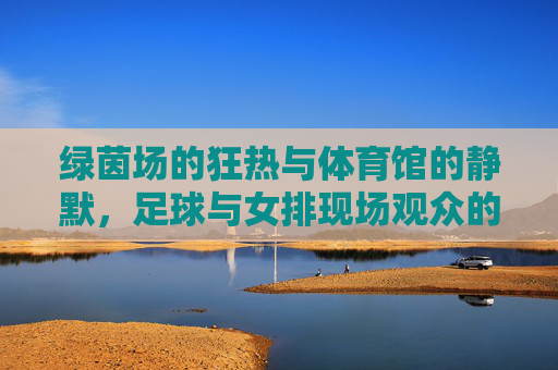 绿茵场的狂热与体育馆的静默,足球与女排现场观众的不同灵魂