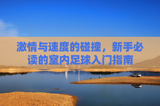 激情与速度的碰撞,新手必读的室内足球入门指南