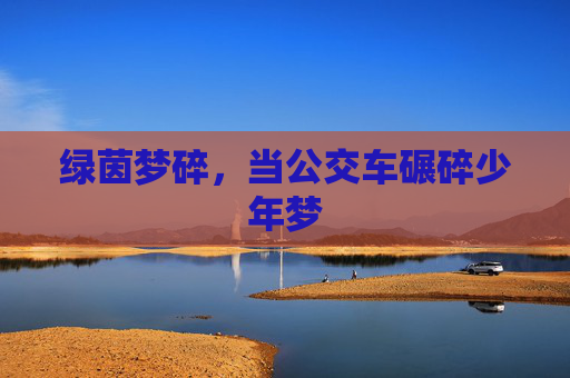 绿茵梦碎,当公交车碾碎少年梦