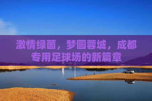 激情绿茵,梦圆蓉城,成都专用足球场的新篇章