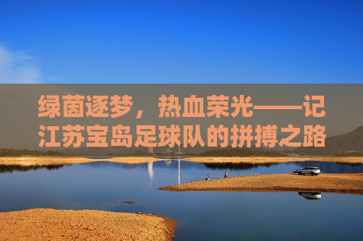 绿茵逐梦,热血荣光——记江苏宝岛足球队的拼搏之路