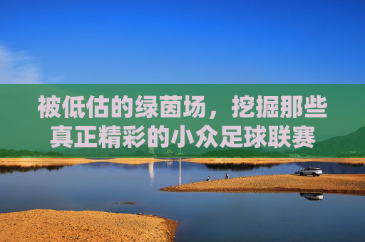 被低估的绿茵场,挖掘那些真正精彩的小众足球联赛