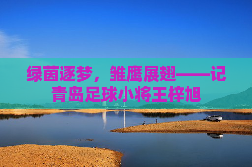 绿茵逐梦,雏鹰展翅——记青岛足球小将王梓旭