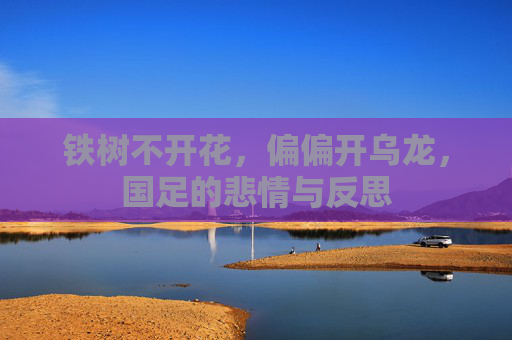 铁树不开花,偏偏开乌龙,国足的悲情与反思