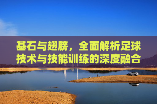 基石与翅膀,全面解析足球技术与技能训练的深度融合