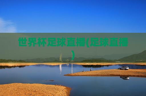 世界杯足球直播(足球直播)