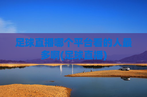 足球直播哪个平台看的人最多啊(足球直播)