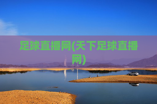 足球直播网(天下足球直播网)