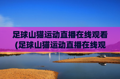 足球山猫运动直播在线观看(足球山猫运动直播在线观看视频)
