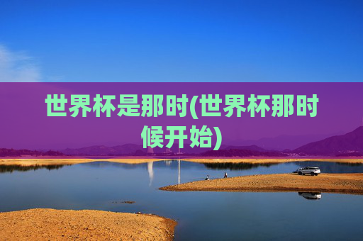 世界杯是那时(世界杯那时候开始)