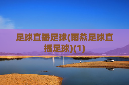 足球直播足球(雨燕足球直播足球)(1)