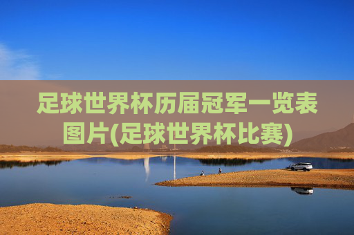 足球世界杯历届冠军一览表图片(足球世界杯比赛)